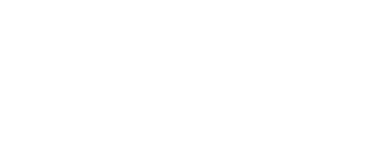 lgnite